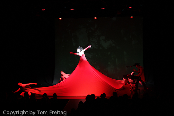 GOP 12_01   047.jpg - Wintervariete RED